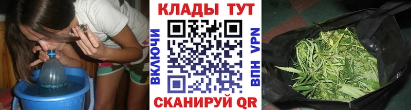 Магазины продажи наркотиков Мураши Псилоцибиновые грибы  Меф мяу мяу  A-PVP  Бошки Шишки  Гашиш  COCAIN 