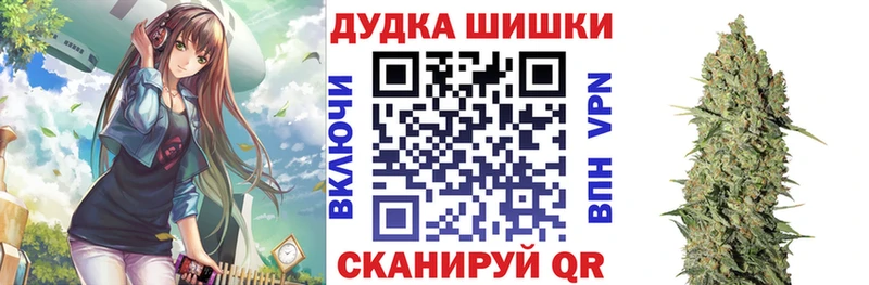 цены   Мураши  Конопля планчик 
